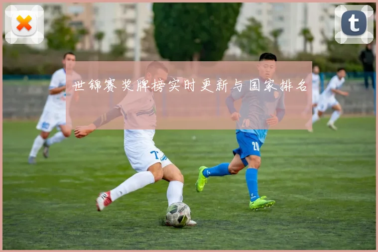 世锦赛奖牌榜实时更新与国家排名